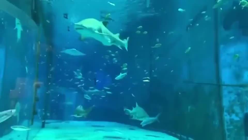 中交豪生大酒店在永川开业