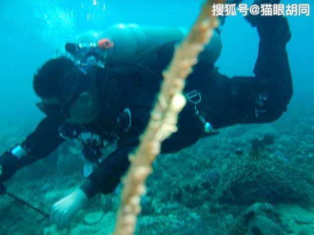 镇雄县山体滑坡救援现场:90后村干部每天接打无数通电话