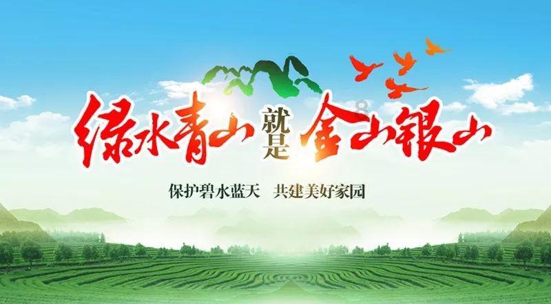 逃离野猫森林