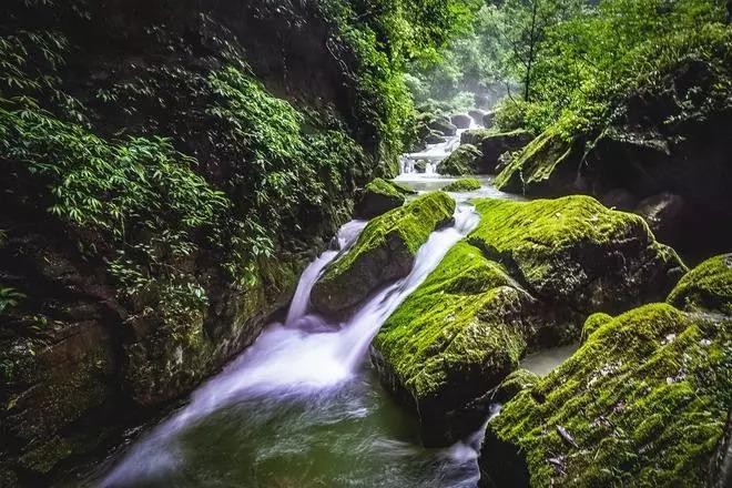 沪江开心词场