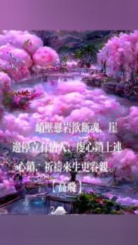 长城炫丽1.3二手车08款 12万公里游戏画面